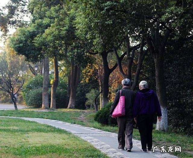 有人说某某夫妻一辈子相敬如宾,从来没红过脸,可能吗?