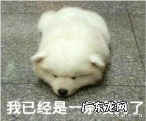 月经期可以用泡脚盆泡脚吗?