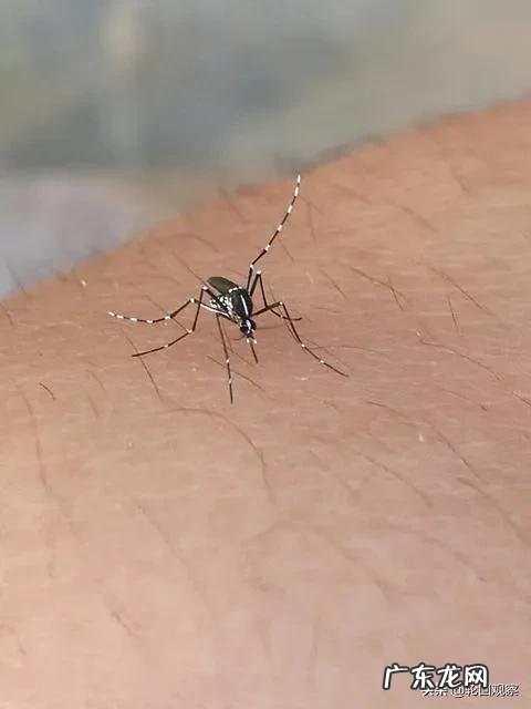 在缅甸千万不能做的事是什么?