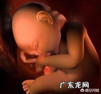 孕妇怀孕8个月,补什么有利于宝宝骨骼增长?