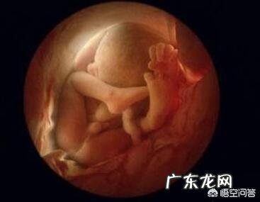 孕妇怀孕8个月,补什么有利于宝宝骨骼增长?