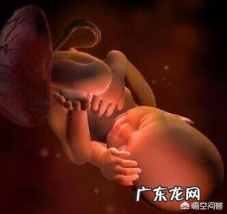 孕妇怀孕8个月,补什么有利于宝宝骨骼增长?