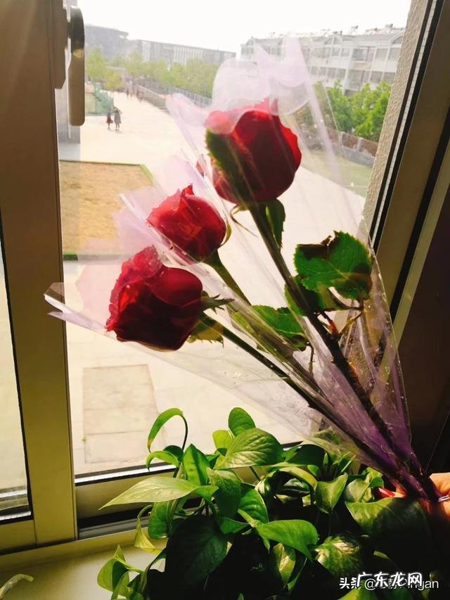 蒋介石在日本留学的六年发生了什么？