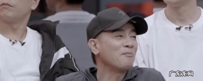 陈小秋年夜湾区代表是甚么梗