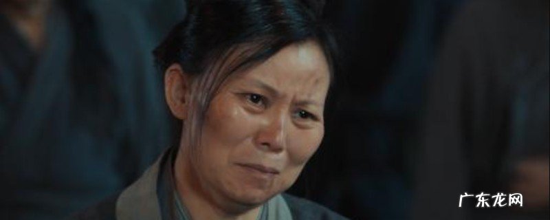 赘婿血脚人屠是甚么意义