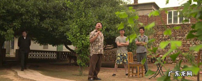 刘海柱黑愚子是正在哪一散