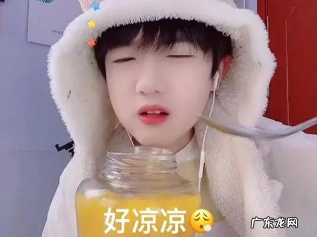 提子和葡萄究竟有什么不一样