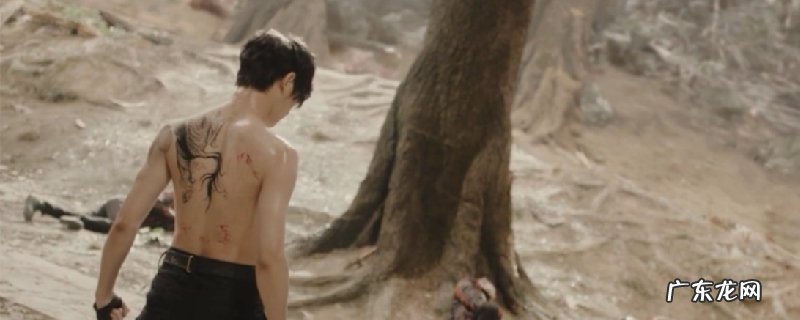 张起灵进进张家古楼后发作了甚么