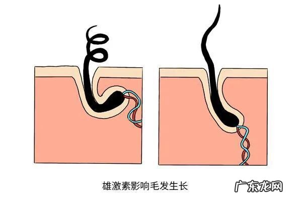 吴彦祖,练出肌肉练没头发?健身真的会导致脱发吗?