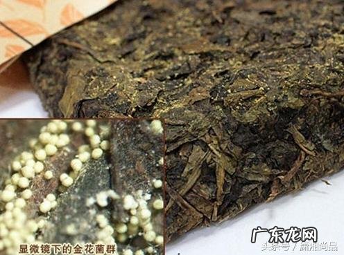 你知道茯茶对人体有哪些作用吗？