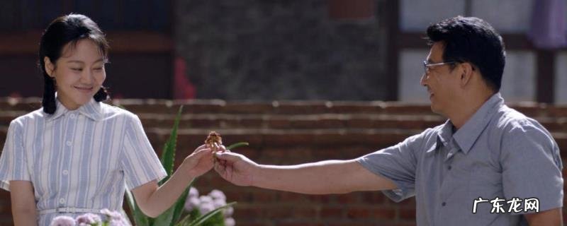 敬爱的爸妈柳碧云战江天怀了局怎样