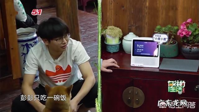 《向往的生活》节目里为了给彭昱畅减肥,大家都采取了什么妙招?