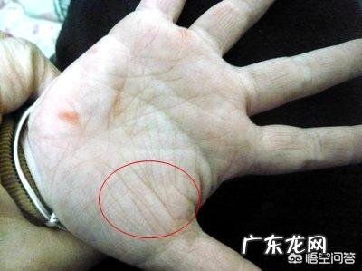 手机的指纹识别,在整个手机中重不重要?