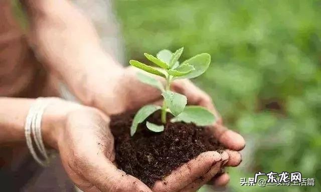 菌肥有保质期吗？过期了还能用吗？