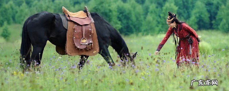 罨洒葛萧胡辇正在一同了吗