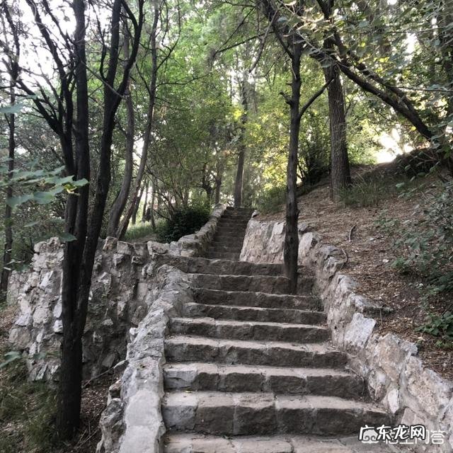 减肥成为心病，经常因为这个不快乐如何能打开这个心结？