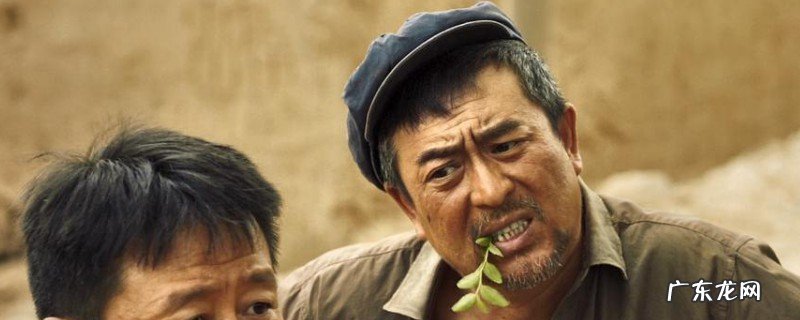 闽宁镇为何更名山海情