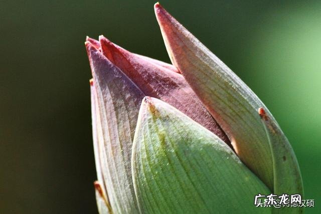 保持年轻态,是每一个人最好的状态,是这样吗?为什么? 四十岁女人怎样保持年轻态