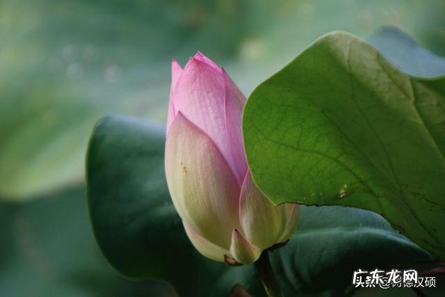 保持年轻态,是每一个人最好的状态,是这样吗?为什么? 四十岁女人怎样保持年轻态