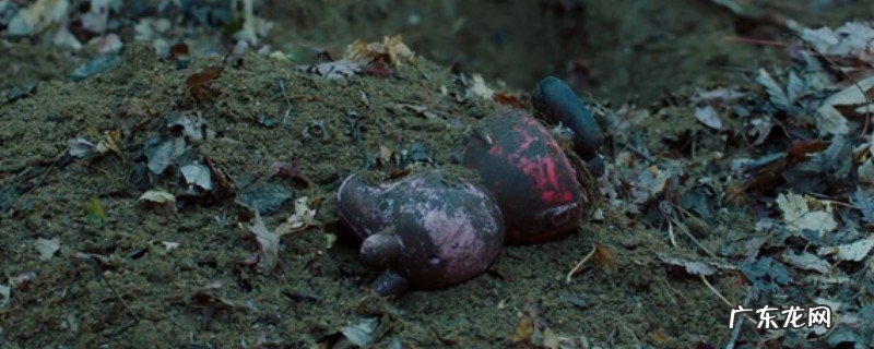 苗苗是被谁害死的