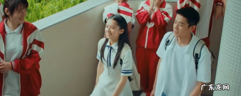 风犬少年的天空安稳了局战谁正在一同了