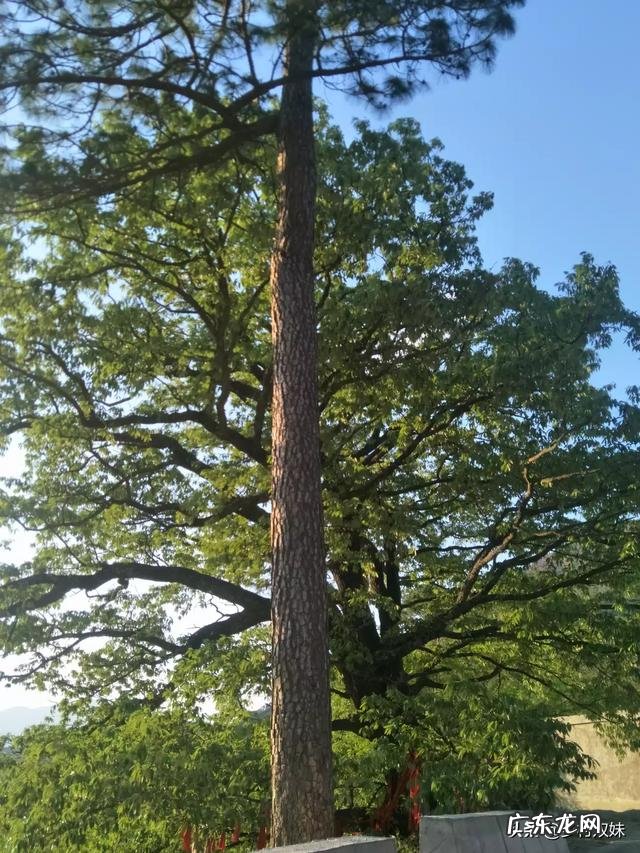 我想问一下为什么我节食减肥第十二天体重不变了,也没有吃饭?