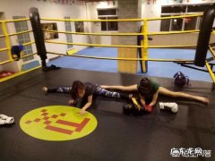 比较懒不爱运动的人，吃蛋白粉能减肥吗？