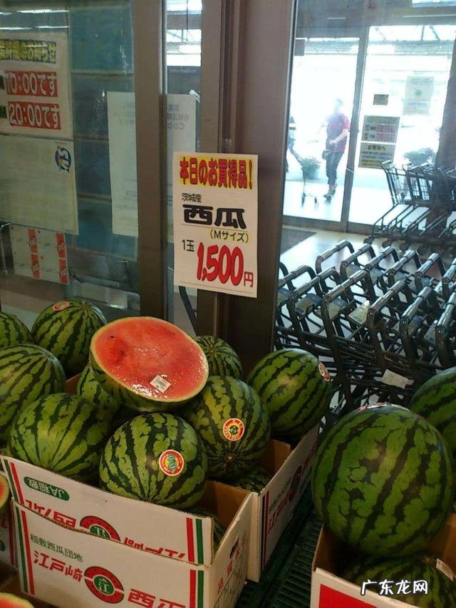 日本的西瓜100-200元一个,真实的日本生活到底是怎样的?