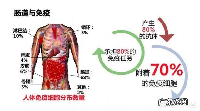 如何彻底排出身体的毒素?