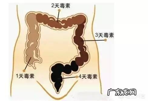如何彻底排出身体的毒素?