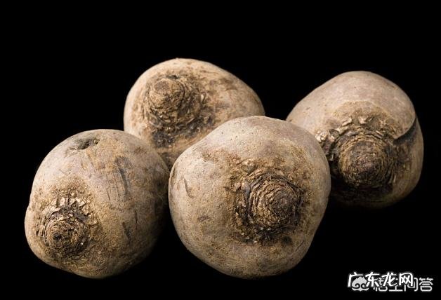 有哪些不为人知却对健身减脂很有帮助的食物? 减脂健身的饮食基础知识