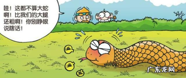 蛇能活多少年是不是脱了皮又是一个全新的生命