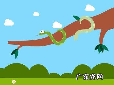 蛇能活多少年是不是脱了皮又是一个全新的生命