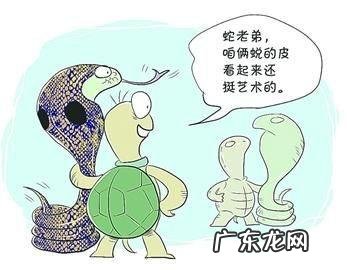 蛇能活多少年是不是脱了皮又是一个全新的生命