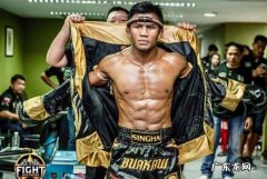 为什么泰拳那么厉害，而其UFC选手却很少？