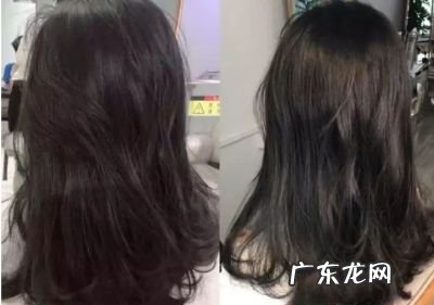 乌茶色战玄色哪个隐黑,战热棕色哪个标致