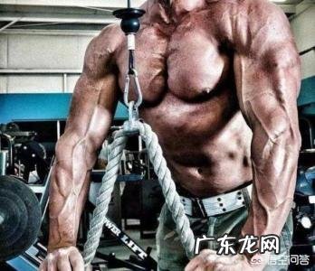 看健身房里有人喝氮泵,氮泵会上瘾吗?