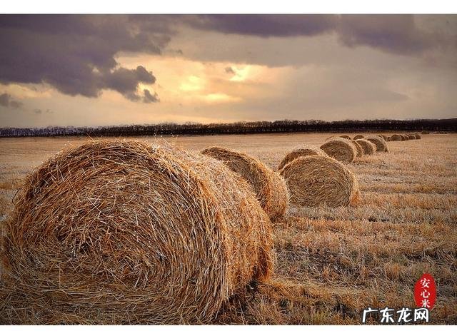 美容院排酸真能排出身体里面的毒素吗？