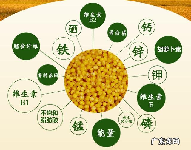 美容院排酸真能排出身体里面的毒素吗？