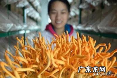 《乡村爱情9》结局是什么?