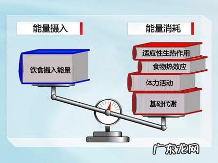 每天晚上吃一个鸡蛋加素菜6分饱能减肥吗？