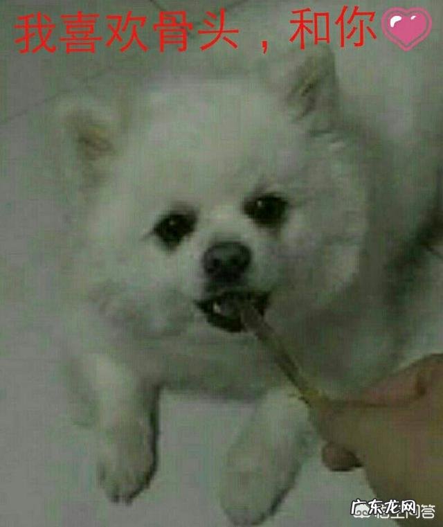 为什么那么多宝妈进了宝妈群就后悔了呢?