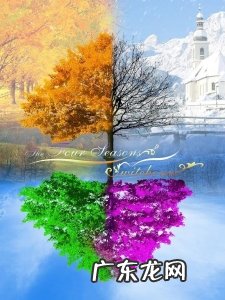 二十四节气的名称是什么 二十四节气分别是哪些