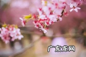 春季传染病预防知识-2022年春季传染病预防知识看这篇就够了