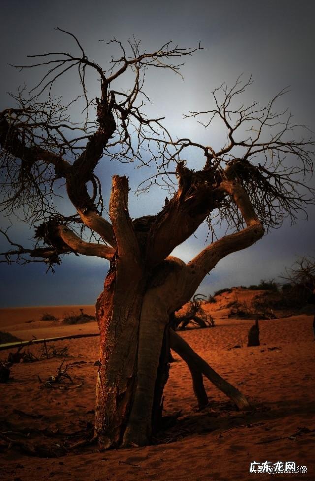 为什么走着录视频老是抖动?怎么避免呢?