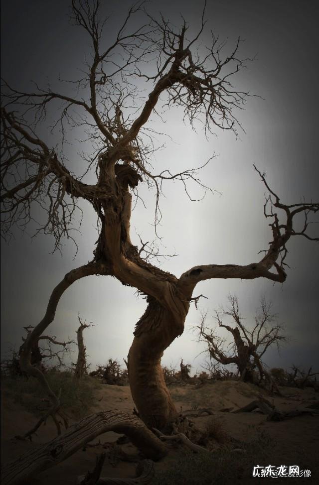 为什么走着录视频老是抖动?怎么避免呢?