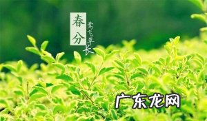春分的风俗活动和寓意提前看