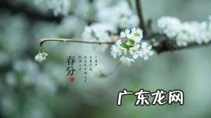 【传统文化】二十四节气之春分的含义是什么?