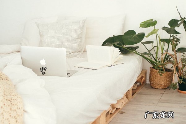 拼多多旗航店需要什么手续?入驻旗舰店的条件是什么?