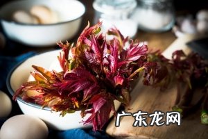 春分一般吃什么?春分养生